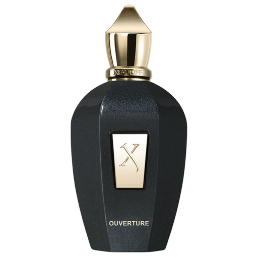 Xerjoff Xj V Ouverture Edp 100Ml Xerjoff