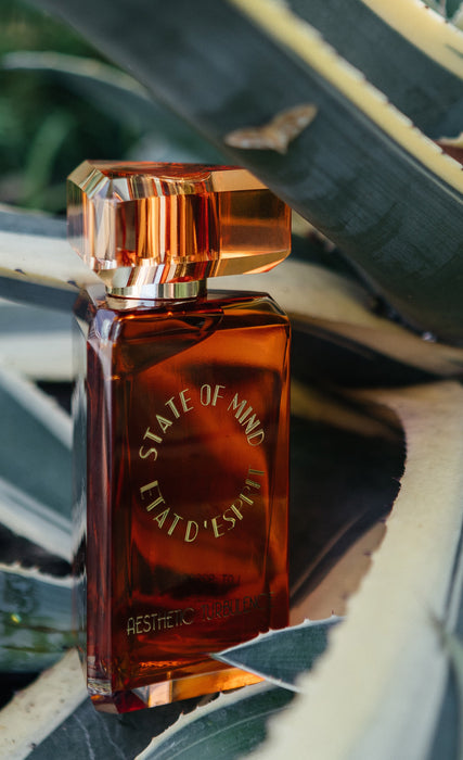 State of Mind Aesthetic Turbulence EDP Unisex 100 ml