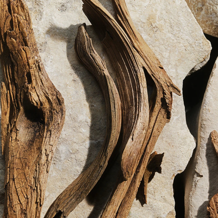 Dolce & gabbana Light Blue Mujer 100ml Edt Versión Recargable Dolce & Gabanna