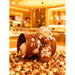 Grandeur Tubbees In a Tub Golden Praline Bliss EDP 50 ML Tubbees