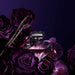 Lancome Tresor La Nuit 75ml Edp Lancome