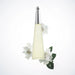 Issey Miyake Leau Dissey Mujer 100ml Edt Issey Miyake
