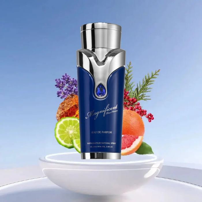 Armaf Magnificent Blue Pour Homme 100 ML Armaf