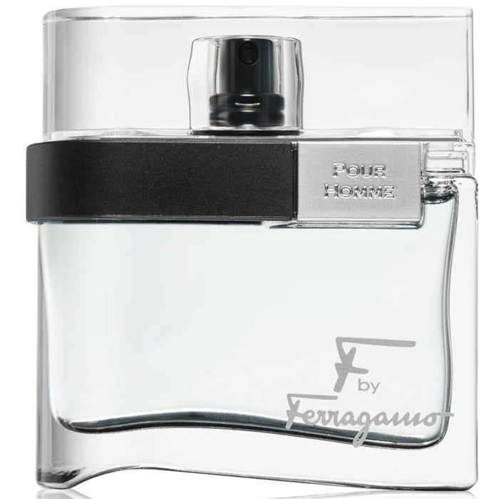 Salvatore Ferragamo Black pour homme EDT 100 ML Salvatore Ferragamo