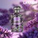 Lattafa Habik Edp 100Ml Hombre Lattafa