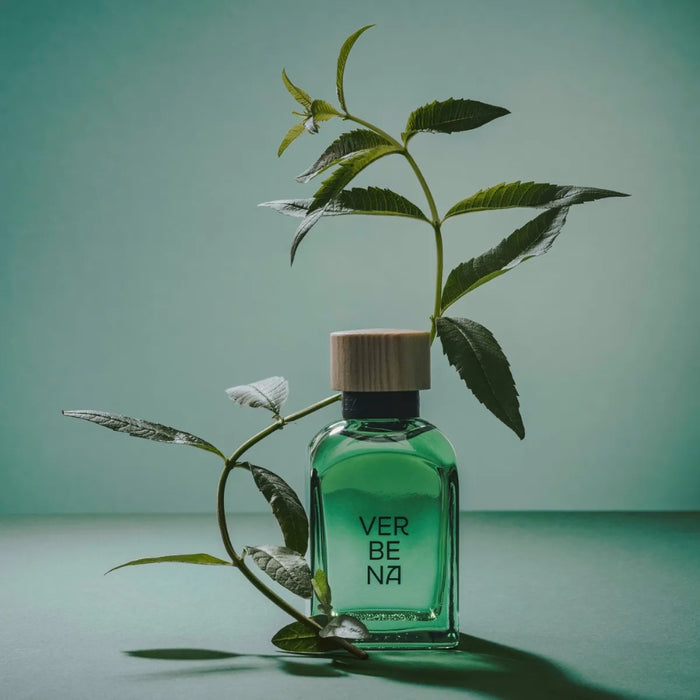 Adolfo Dominguez Agua Fresca Verbena Edt 120Ml Hombre Adolfo Dominguez