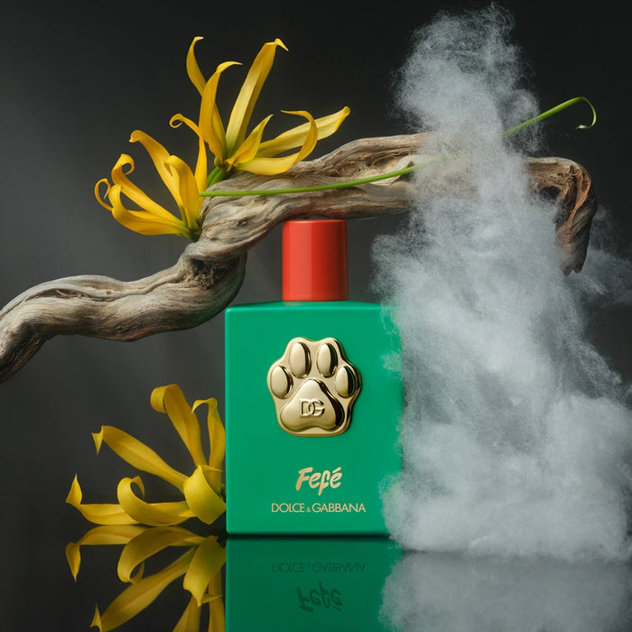 Dolce & Gabbana Fefe para perros (Libre de alcohol) 100 ML Dolce & Gabanna