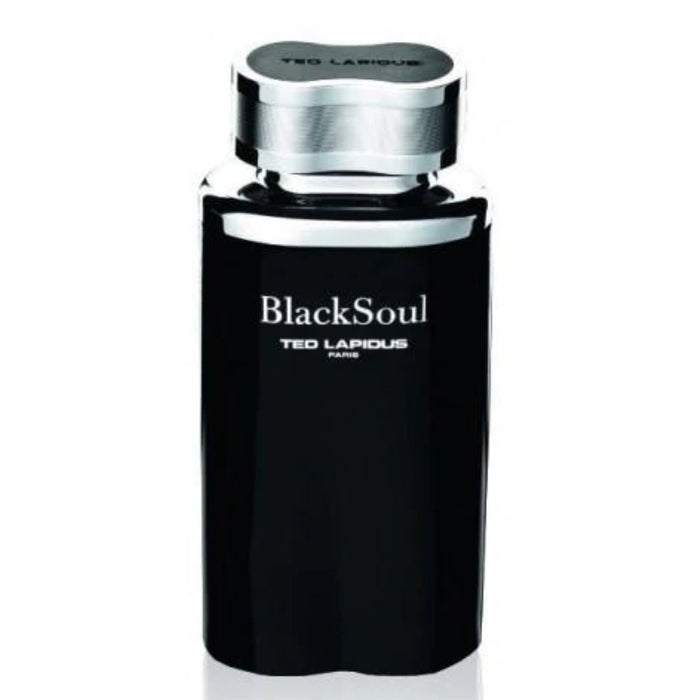 Ted Lapidus Black Soul 100ml Edt