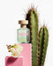 Benetton Green Cactus for Her United Dreams EDT 80 ml Benetton