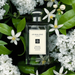Jo Malone Orange Blossom Cologne 100 ML Jo Malone