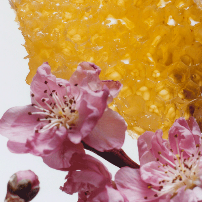 Jo Malone Nectarine Blossom & Honey Cologne 30 ML Jo Malone