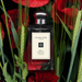 Jo Malone Poppy & Barley Cologne 100 ML Jo Malone