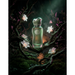 Paris Corner Nada Whimsical EDP Unisex 100 ml Paris Corner
