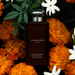 Jo Malone Jasmine Sambac & Marigold Cologne Intense 100 ML Jo Malone