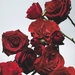 Jo Malone Red Roses Cologne 30 ML Jo Malone