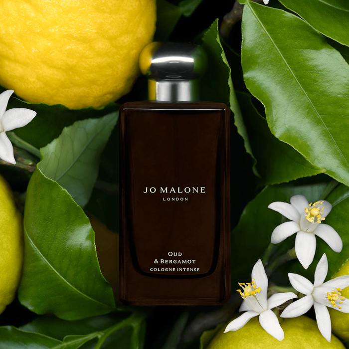Jo Malone Oud & Bergamot Cologne Intense 100 ML Jo Malone