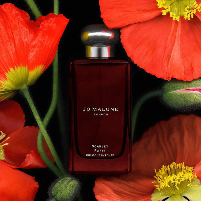 Jo Malone Scarlet Poppy Cologne Intense 100 ML Jo Malone
