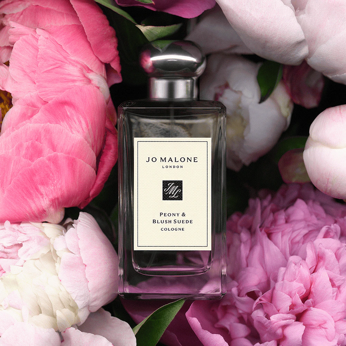 Jo Malone Peony & Blush Suede Cologne 30 ML Jo Malone