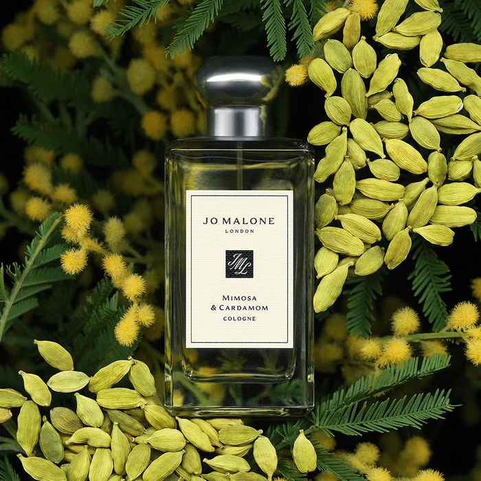 Jo Malone Mimosa & Cardamom Cologne 100 ML Jo Malone