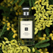 Jo Malone Mimosa & Cardamom Cologne 100 ML Jo Malone