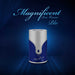 Armaf Magnificent Blue Pour Homme 100 ML Armaf