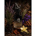 Gulf Orchid El Capitan Edp 100 Ml Hombre (Jean Paul Gaultier Le Male Le Parfum) Gulf Orchid