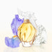 Nina Ricci L'Air du Temps EDT Mujer 100 ml Producto regular Nina Ricci