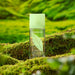 Elizabeth Arden Green Tea 100 Ml Edp Elizabeth Arden
