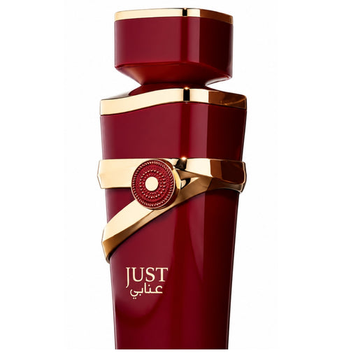 Fragrance World Just Anabi Unisex EDP 100 ML Fragrance World