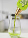 Grandeur Tubbees In a Tub Matcha Made in Heaven EDP 50 ML Tubbees