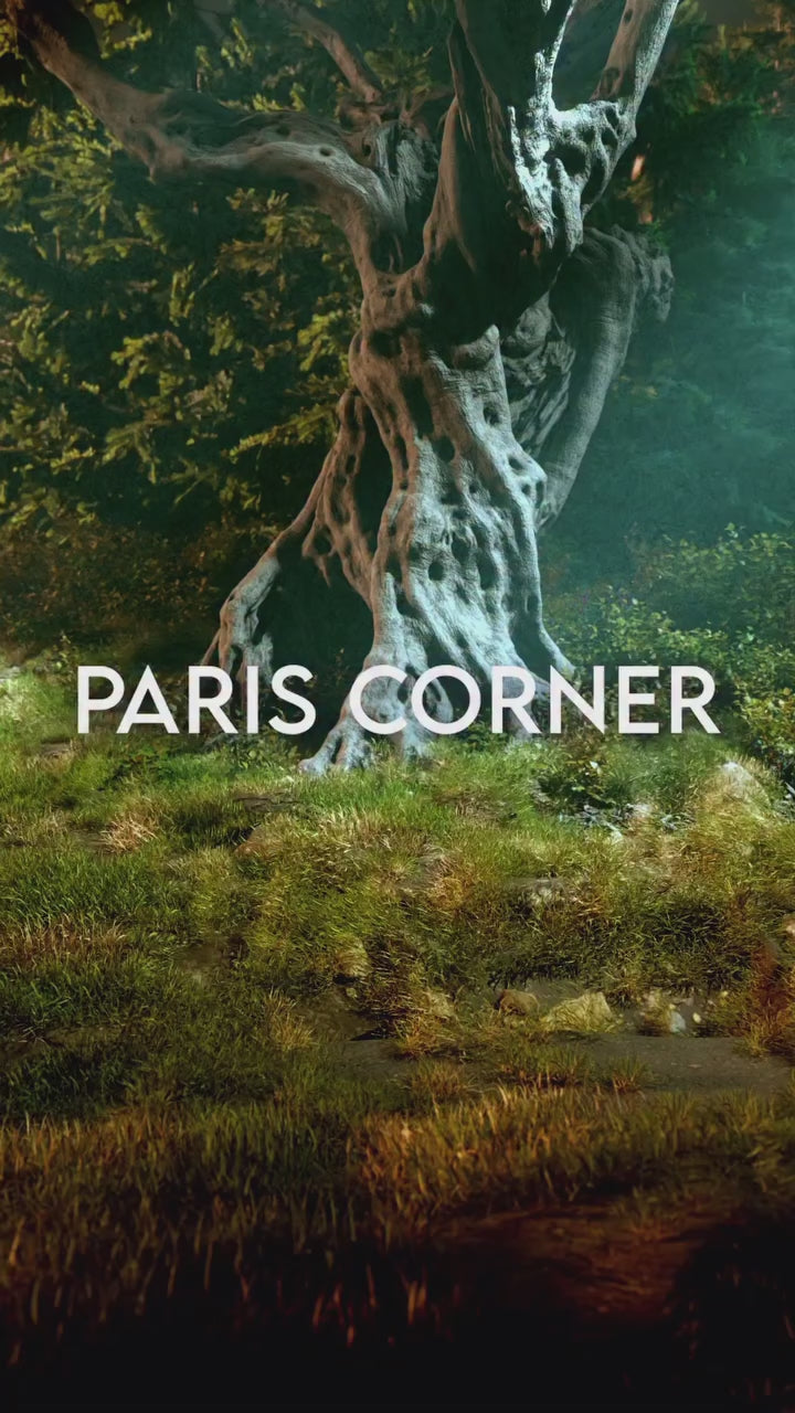 Paris Corner Cosmic Giardino EDP 100 ML Paris Corner