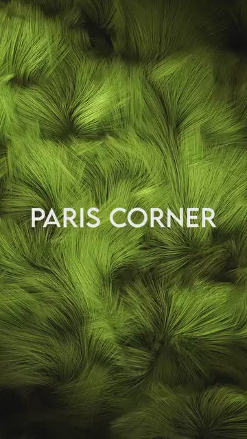 Emir Voux Zingy EDP 100 ML Paris Corner